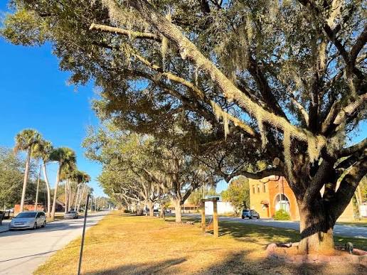 exploring-the-history-and-heritage-of-webster-florida